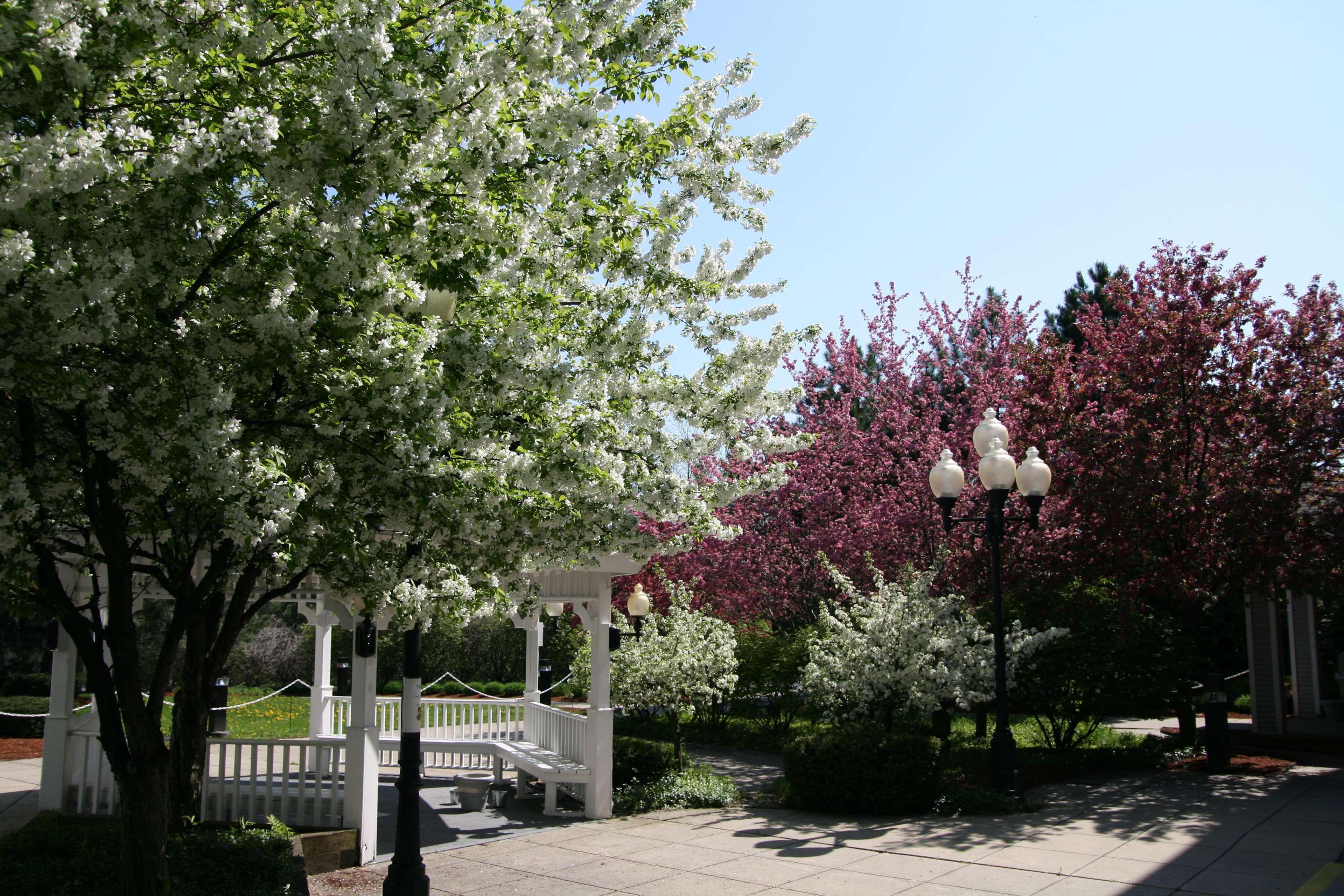 Hampton Inn Burlington - Colchester Εξωτερικό φωτογραφία